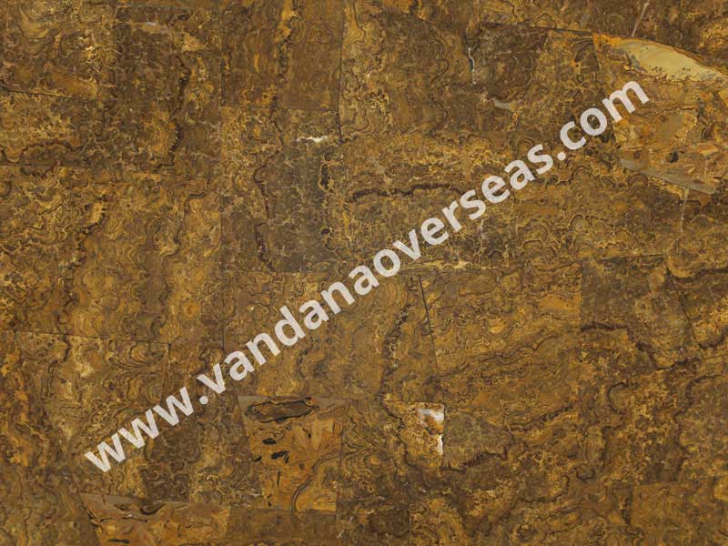 Star Modulite