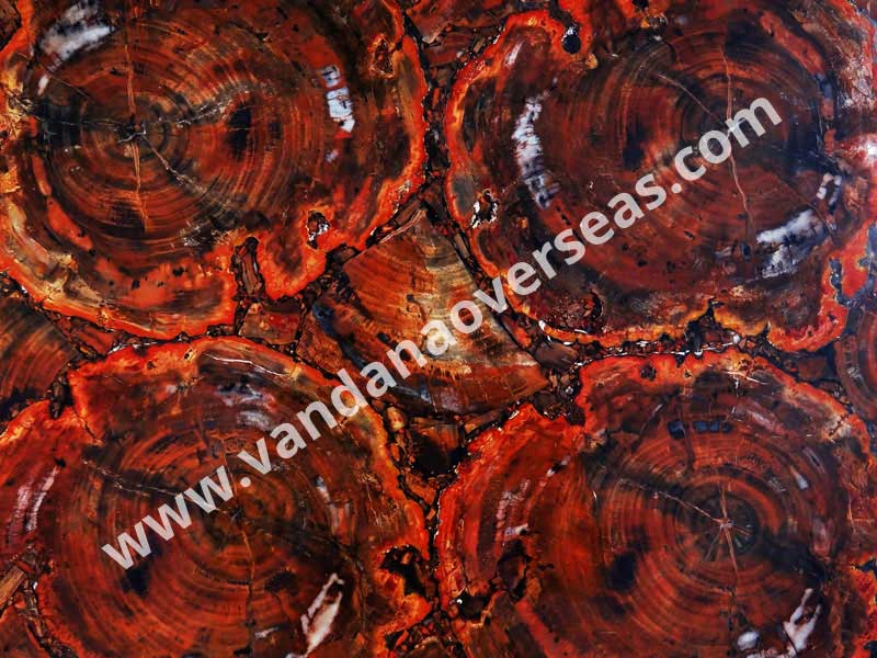 Red Petrified Wood