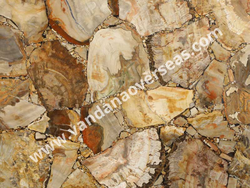 Brown Petrified Wood