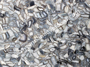 Grey Zama